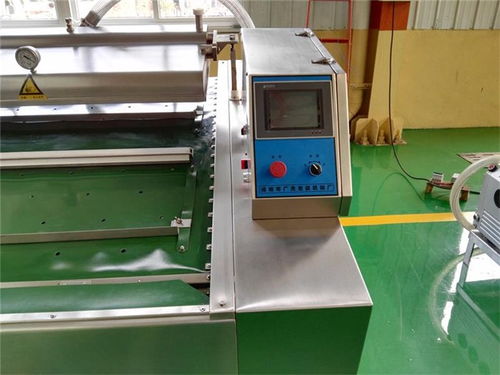 寧夏傳送帶式真空包裝機價格解析與技術咨詢指南——以諸城廣元機械為例